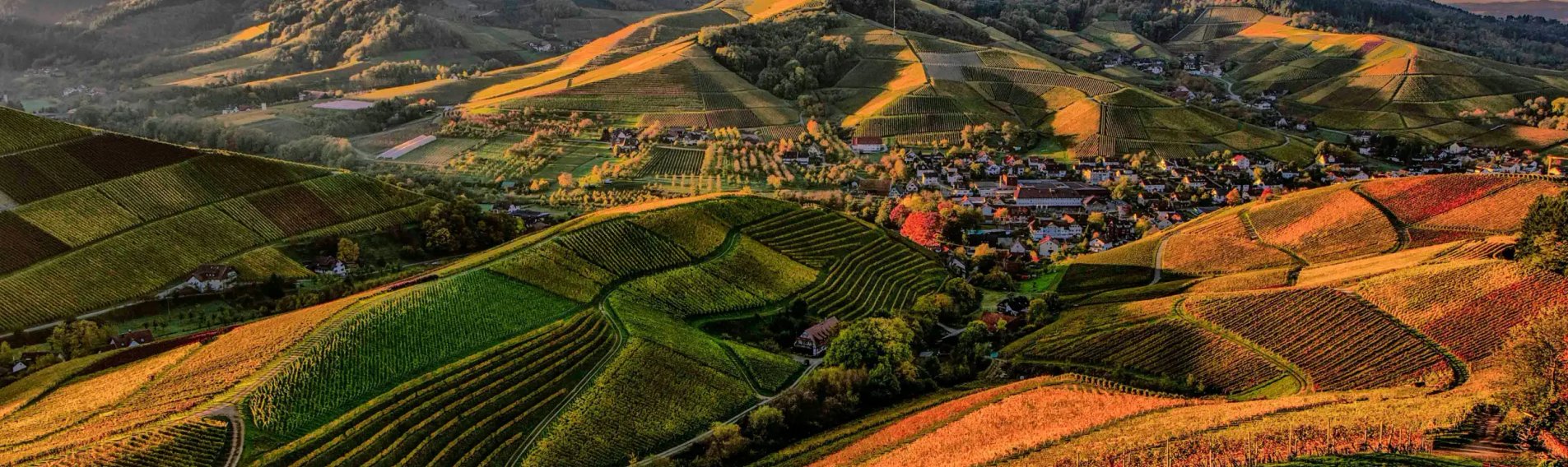 Photo of Sonoma County landscape